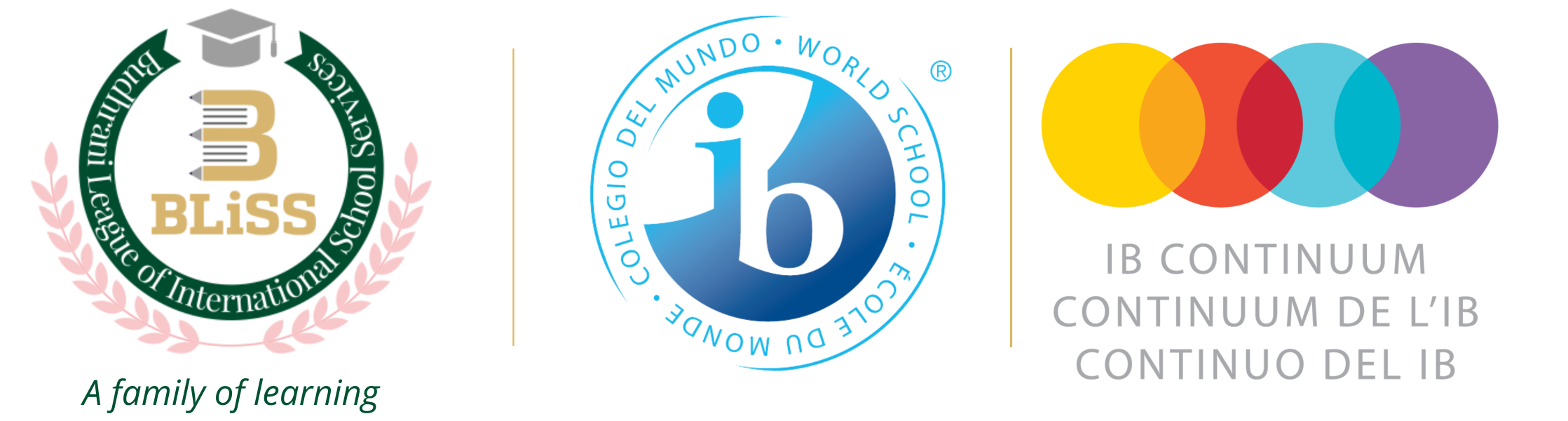 Bliss International School Logo